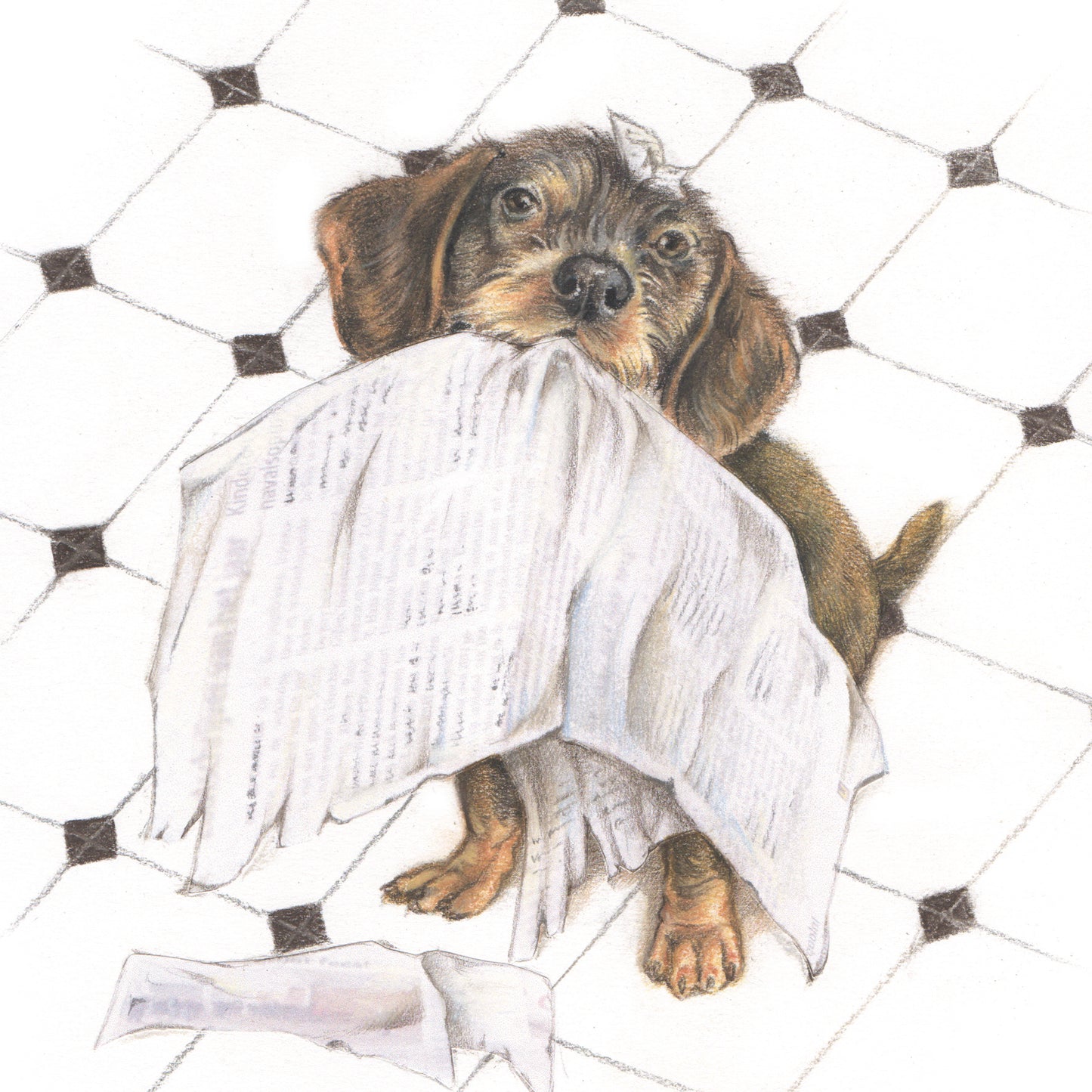 Square card - Always up to date with all the news (Dachshund)