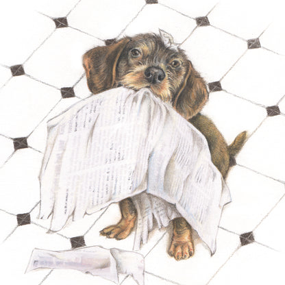 Square card - Always up to date with all the news (Dachshund)
