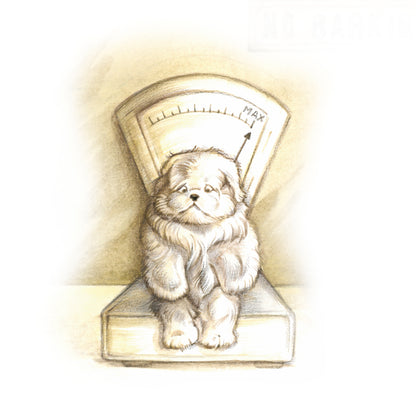 Square card - Waiting room emotion; weighty matters for the dog (humor, comic)