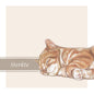 Vierkante kaart - Condoleancekaart kat