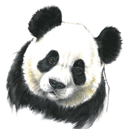 Square Card - Look, you can talk to this Panda (Panda Bear)