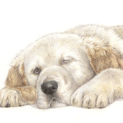 Square Card - Why rush when taking it easy is just as good... (Golden Retriever dog print)