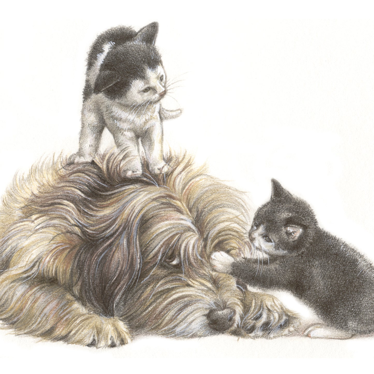 Square-Karte – Seit die beiden da sind, ist es im Haus nie mehr ruhig!! (Hund und Katzen)