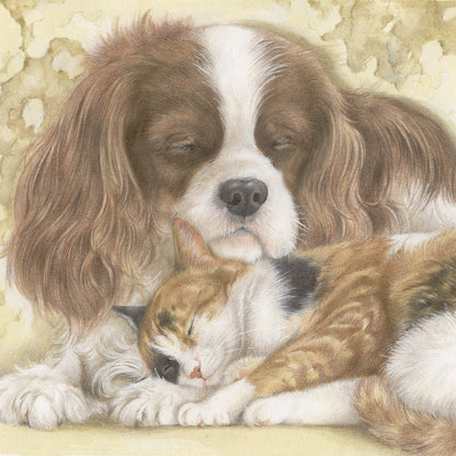 Quadratische Karte – Wer wünscht sich nicht so ein schönes, warmes Kissen (Cavalier King Charles Terrier, Katzenmotiv)?