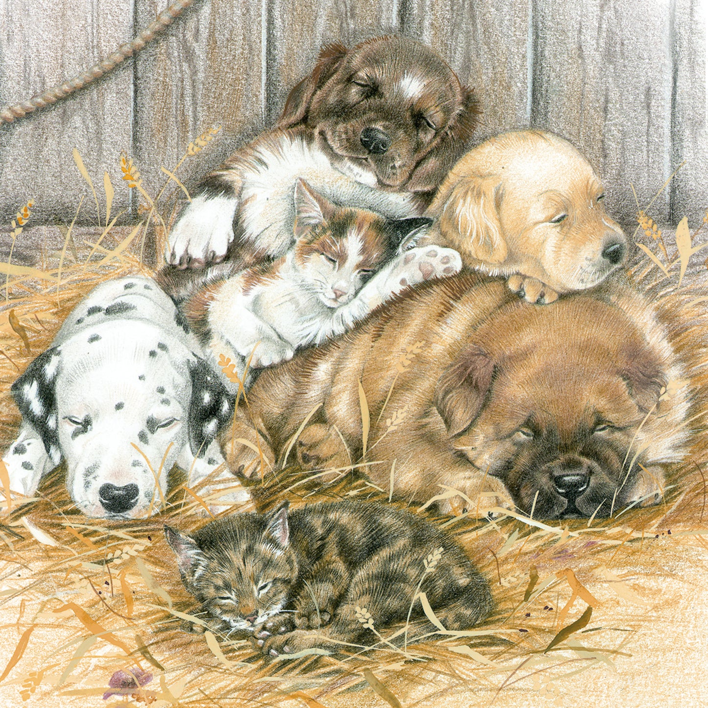 Square card - Time for a break. (dogs)