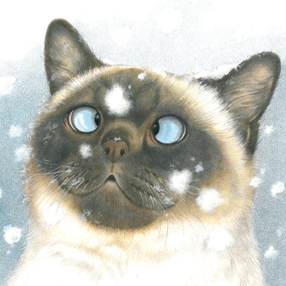 Quadratische Karte – Schneeflocken lassen mich immer ein bisschen schielten… (Katzenmotiv)