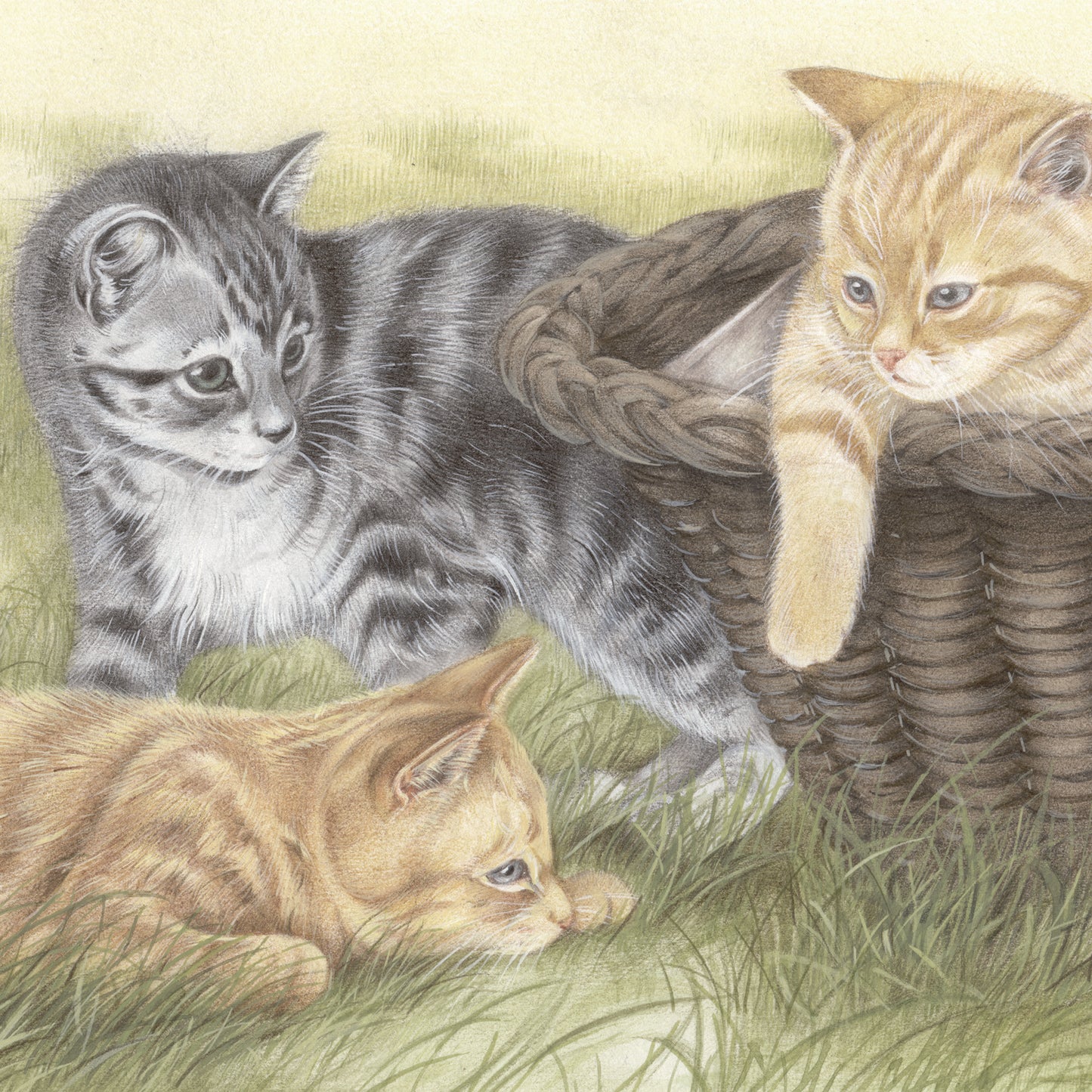 Quadratische Karte – Immer für ein Spiel zu haben. Kätzchen im Freien. (Katzenmotiv)