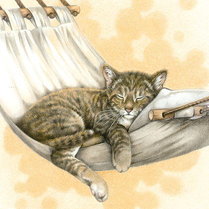 Square card - Dreaming of warm countries, nice and quiet in your hammock