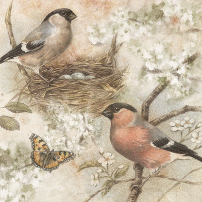 Quadratische Karte – Eine wunderschöne Zeichnung aus der Vogelperspektive (Vögel)