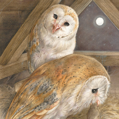 Quadratische Karte – Schleiereulen bleiben immer ein besonderer Anblick (Vögel)