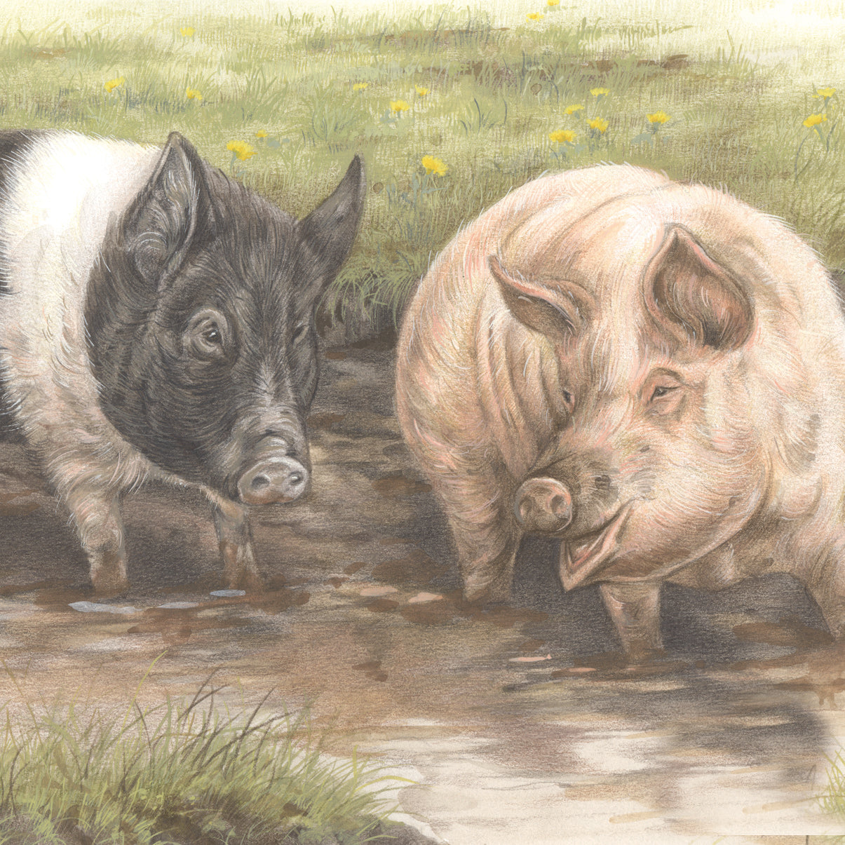 Square-Karte – Wir machen daraus einen Schweinestall… (Schweine)