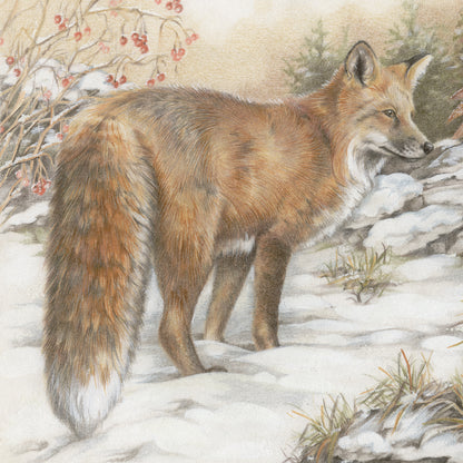 Square card - Fox in the snow