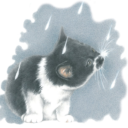 Square card - It's Raining Cat's - European Shorthair