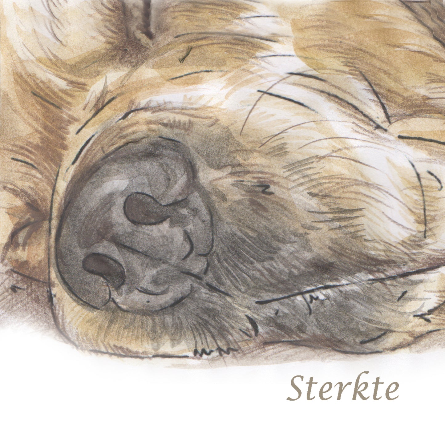 Vierkante kaart -  Condoleancekaart Labrador