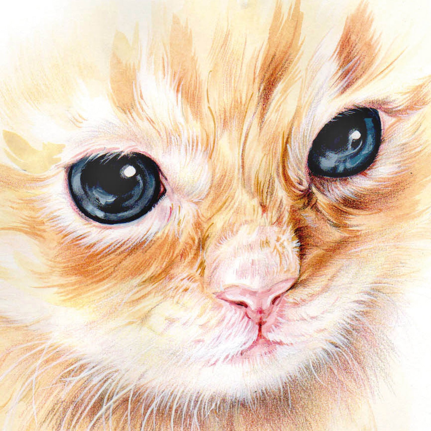 Square card - A little closer... (cat print)