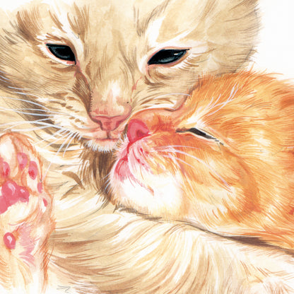 Quadratische Karte – Wahre Liebe beginnt bei dir… (Katzenmotiv)