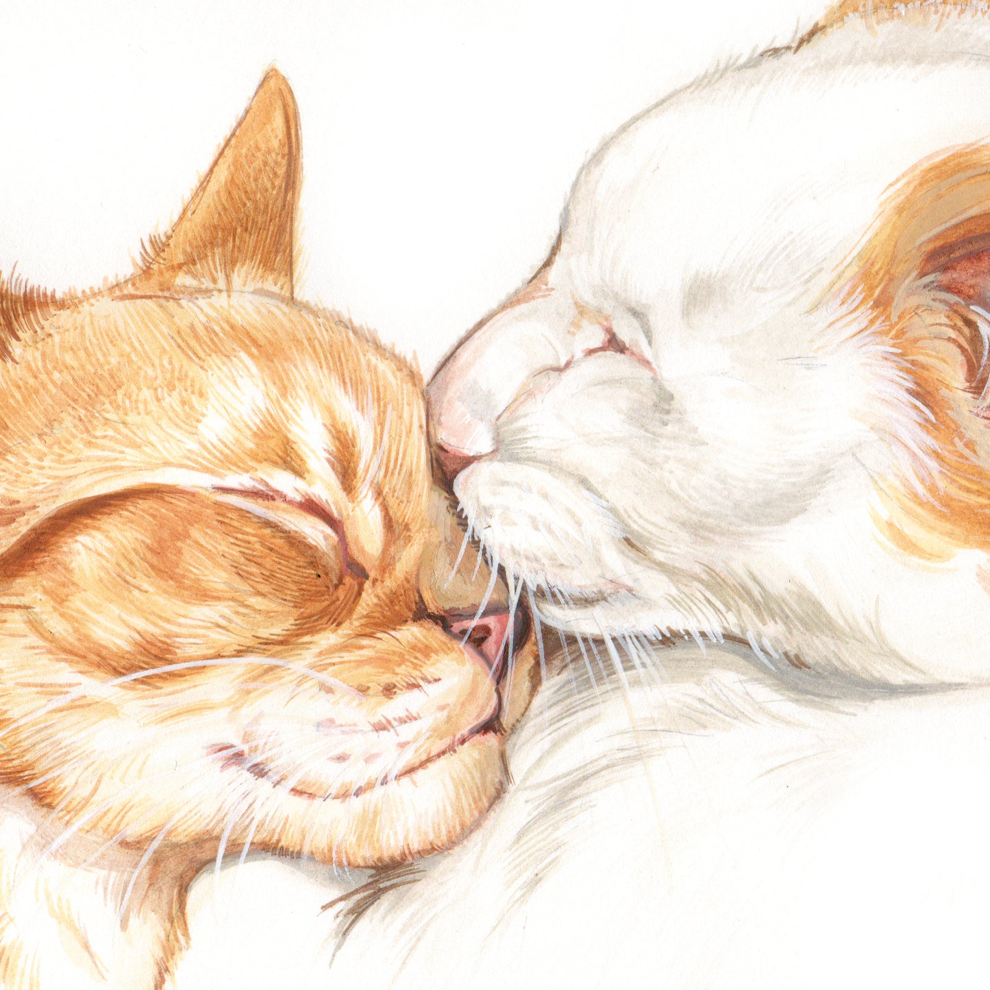 Vierkante kaart - Kattenliefde.. (katten print)