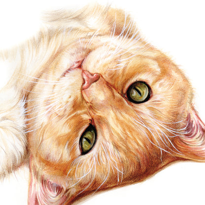 Vierkante kaart - Ben er ondersteboven van..(Katten print)