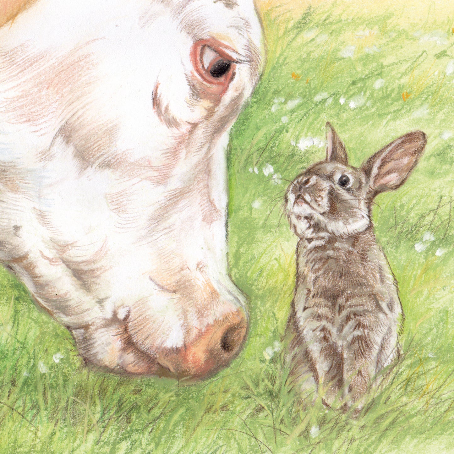 Square Card - Cow &amp; Rabbit - Who can eat the most grass... (Cow and Rabbit)