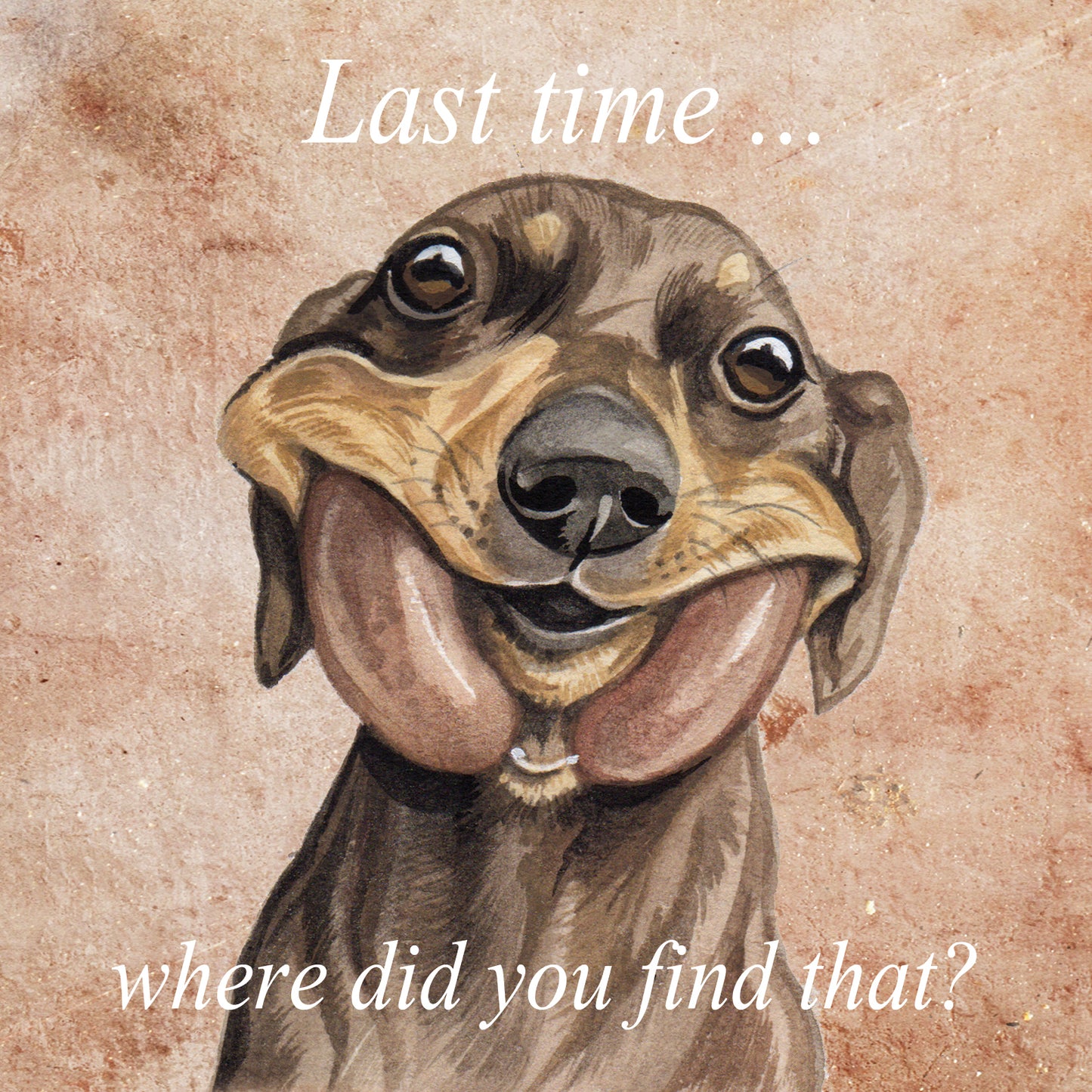 Square card - Last time...., where did you find that (Dachshund / Dachshund)