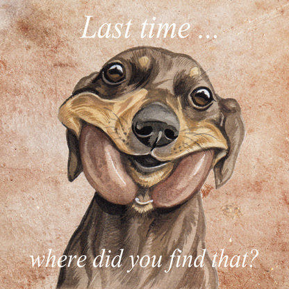 Square card - Last time...., where did you find that (Dachshund / Dachshund)