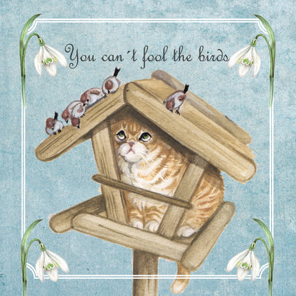 Quadratische Karte - You can't fool the birds