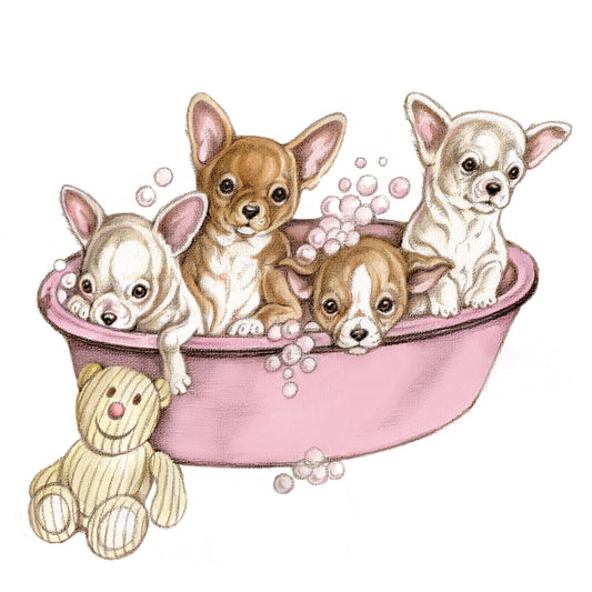 Square card - Chihuahua family - Washtub
