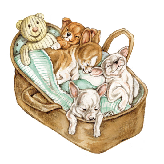 Square card - Chihuahua family - Carry cot