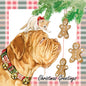 Vierkante kaart - Christmas Greetings