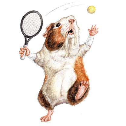 Vierkante kaart - Cavia Tennis
