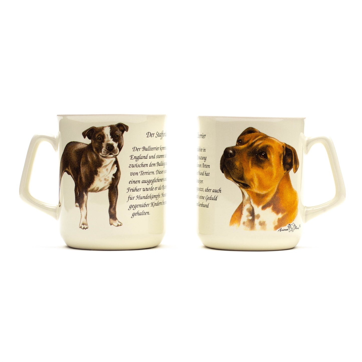 Mok Staffordshire Terrier