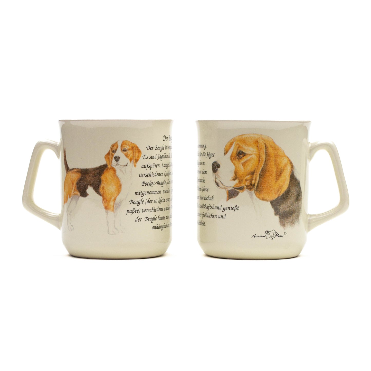 Mok Beagle