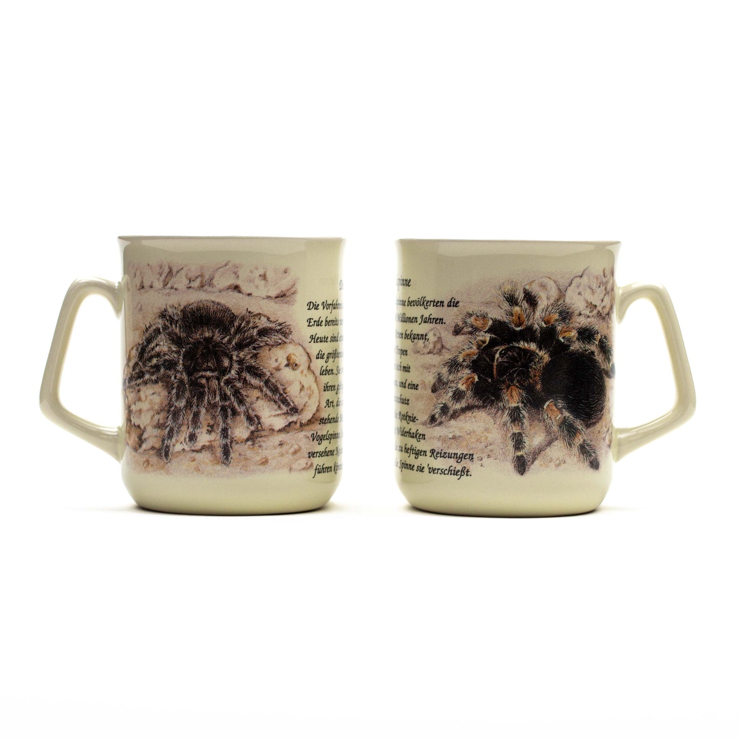 Tasse Vogelspinne