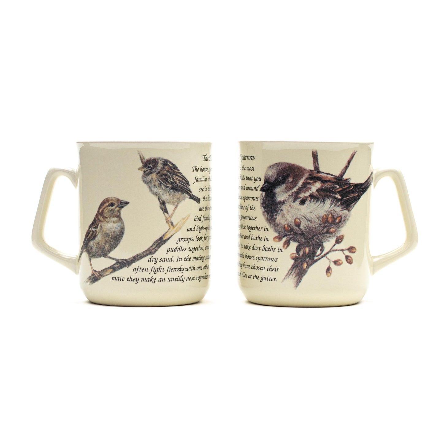 Tasse Haussperling