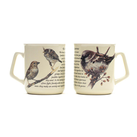 Tasse Haussperling