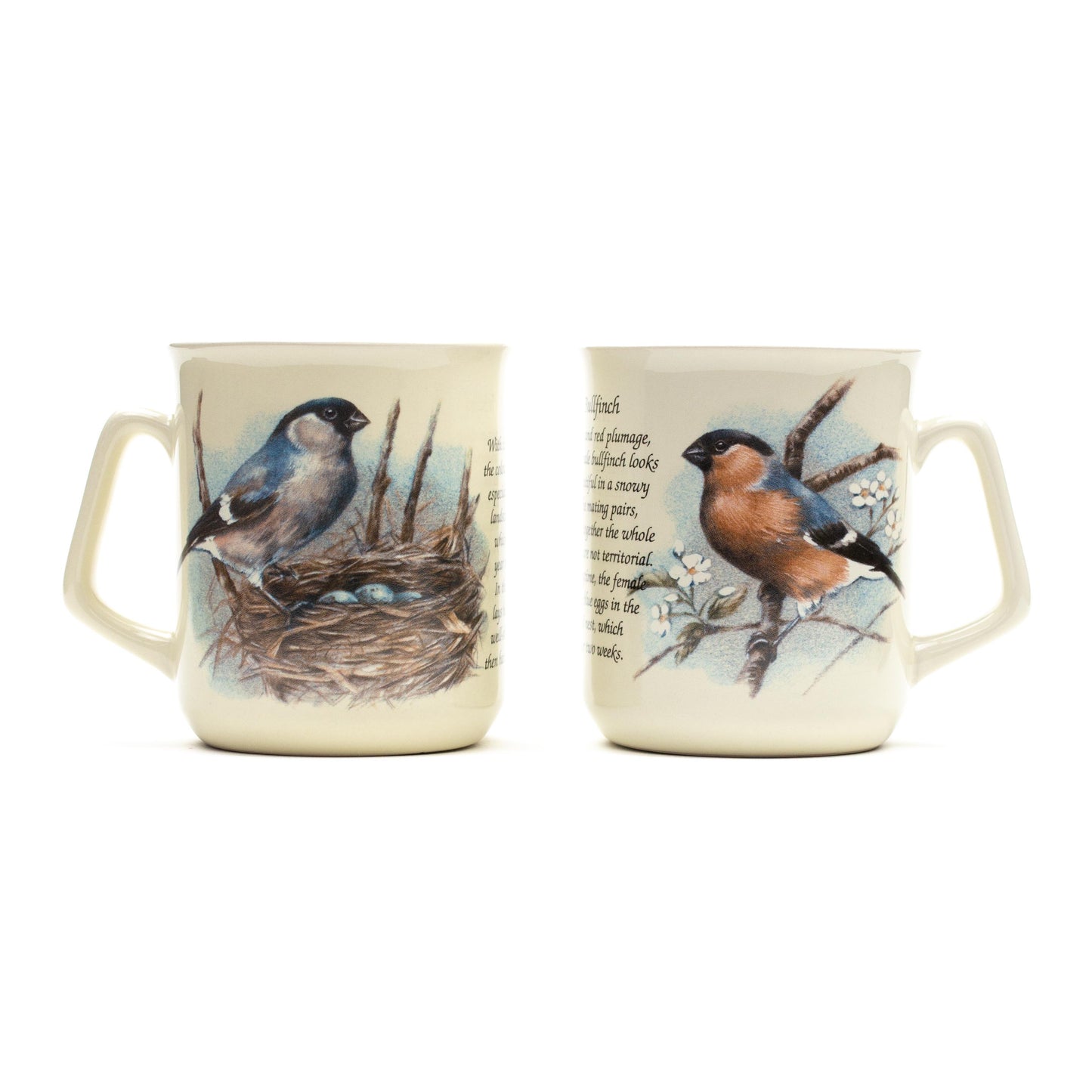 Tasse Gimper
