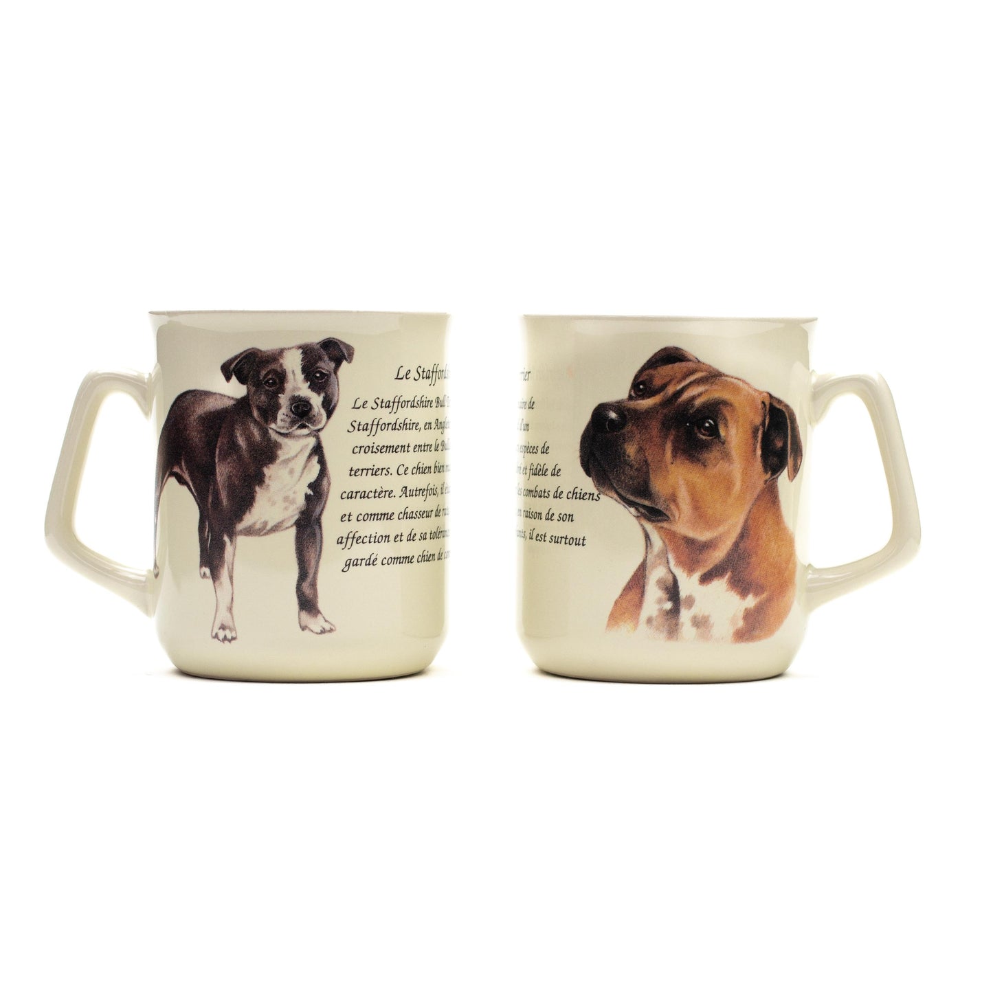Mok Staffordshire Terrier