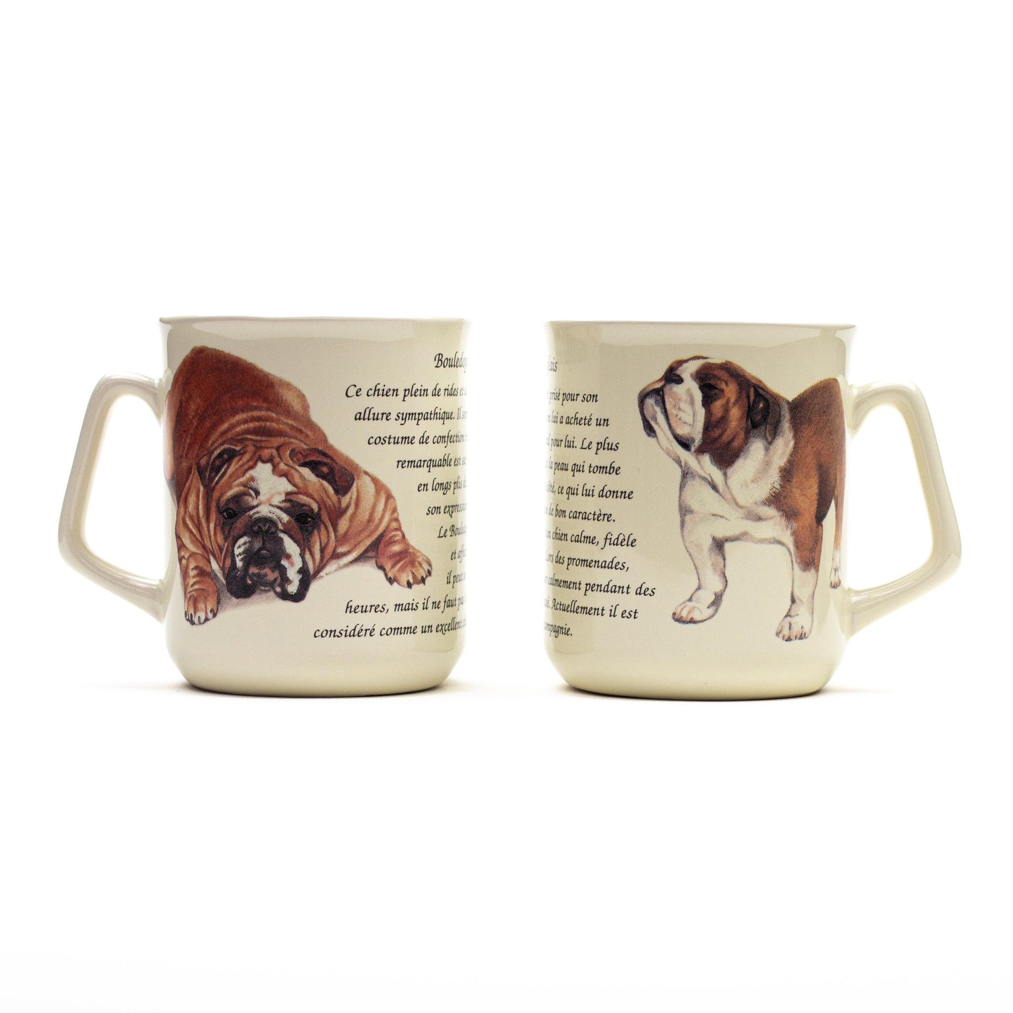 Mok Engelse Bulldog