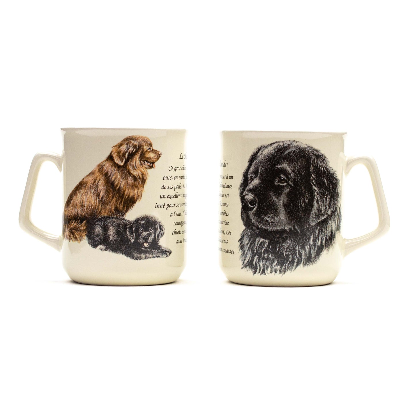 Mug New Foundlander