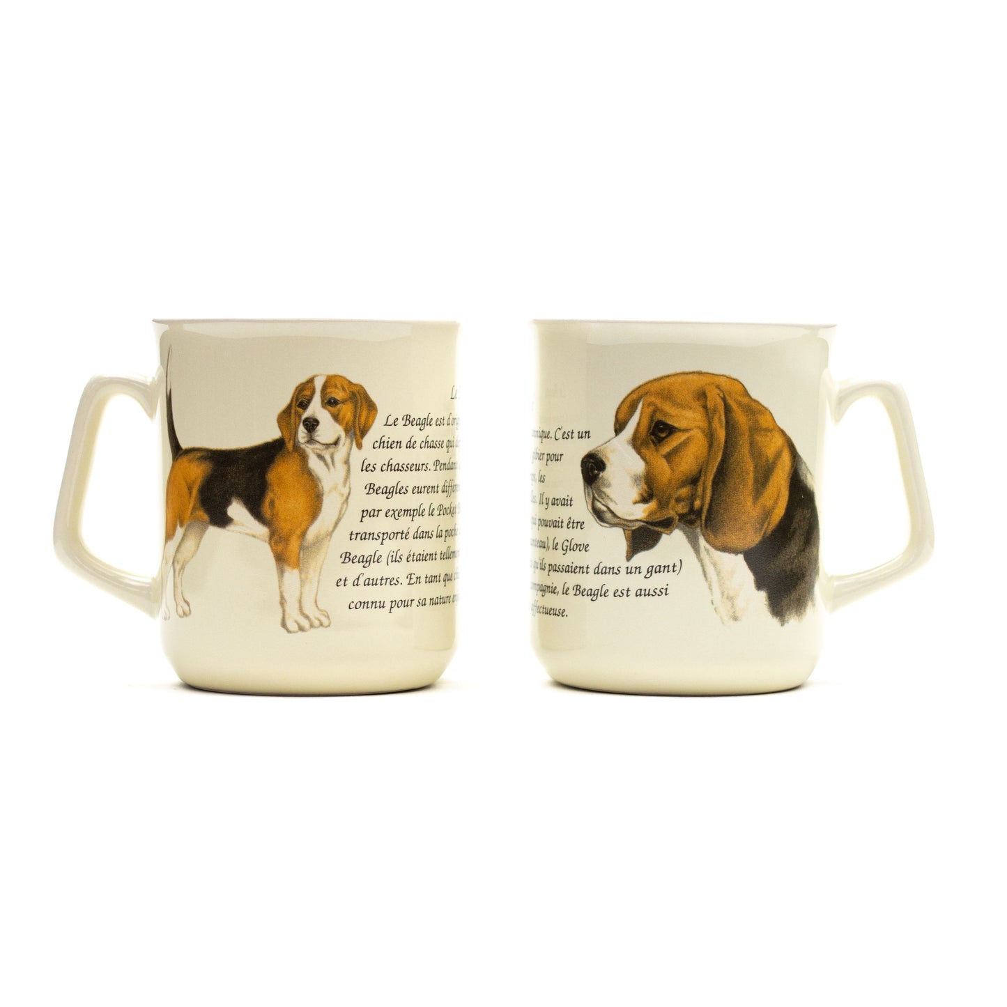 Mok Beagle
