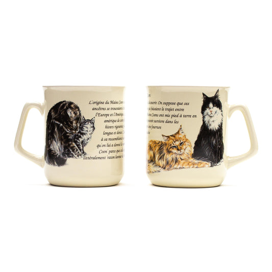 Mok Maine Coon