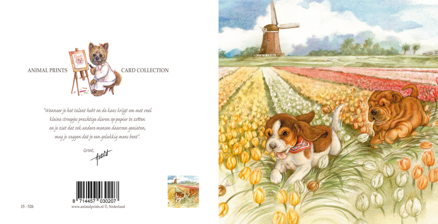 Quadratische Karte – Holländische Szene, einfach so herumtollen... (Beagle und Shar-Pei)