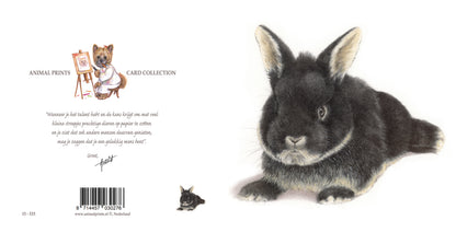 Square card - Bunnies are also very welcome