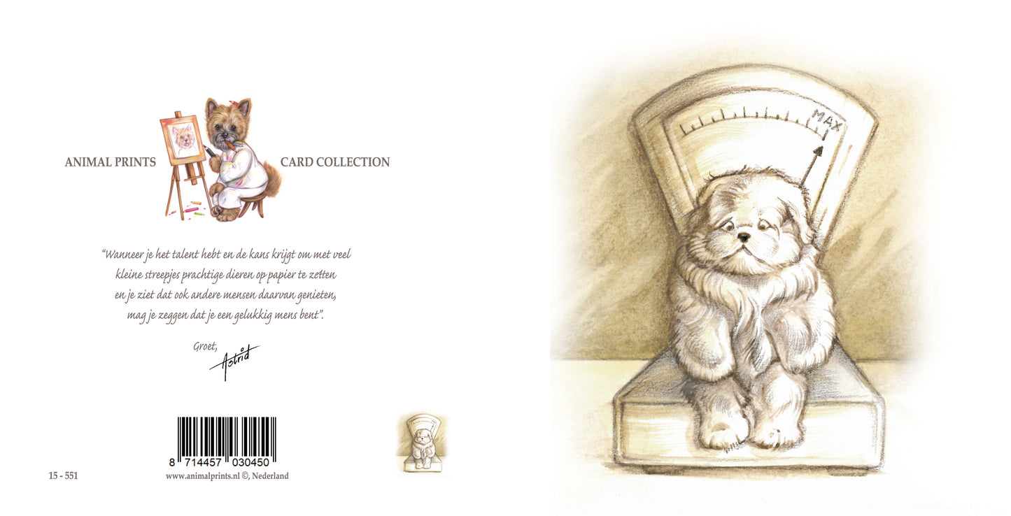 Square card - Waiting room emotion; weighty matters for the dog (humor, comic)