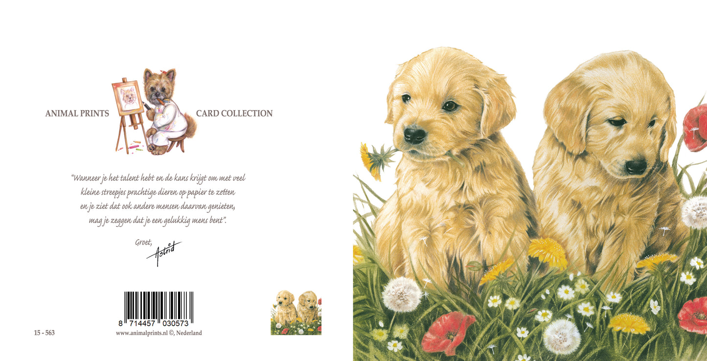 Quadratische Karte - Die Blumen draußen zusammenstellen. Golden Retriever-Welpen im Gras