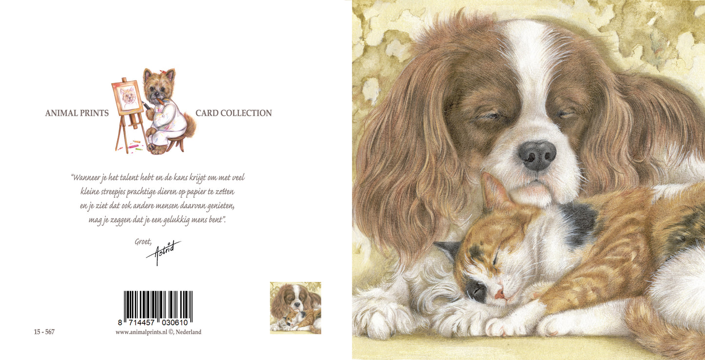 Quadratische Karte – Wer wünscht sich nicht so ein schönes, warmes Kissen (Cavalier King Charles Terrier, Katzenmotiv)?