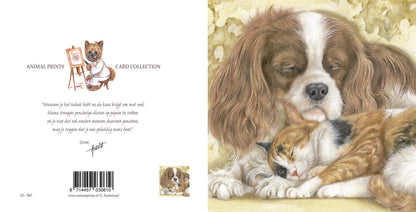 Quadratische Karte – Wer wünscht sich nicht so ein schönes, warmes Kissen (Cavalier King Charles Terrier, Katzenmotiv)?