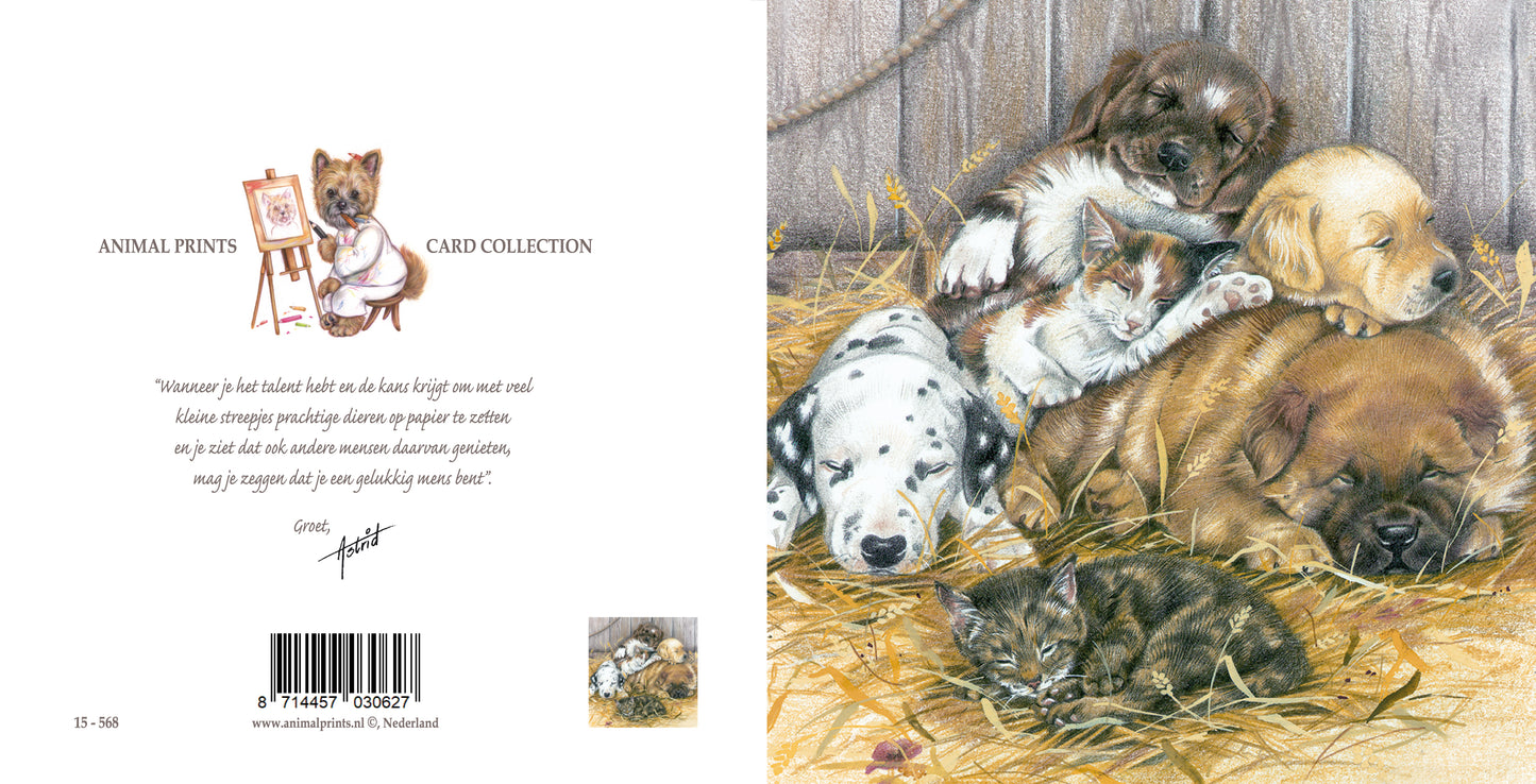 Square card - Time for a break. (dogs)