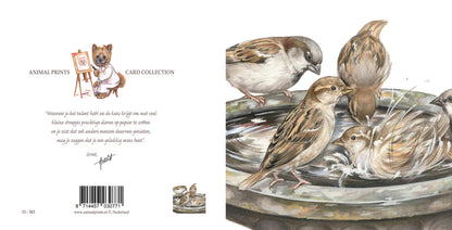 Square card - A refreshing and lively get-together with all the local sparrows... (birds)