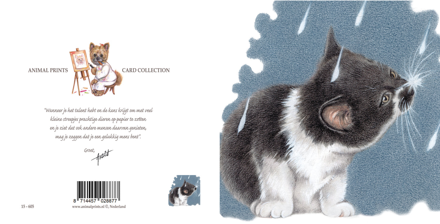 Square card - It's Raining Cat's - European Shorthair